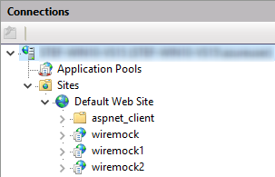 IIS Multiple